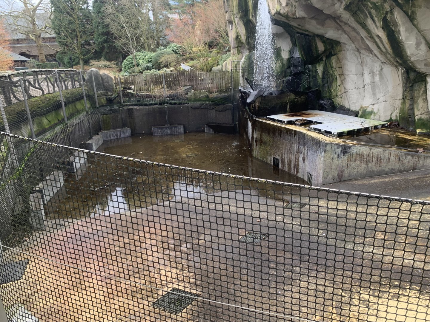 Empty California Sea Lion pool, soon home to Harbour Seals