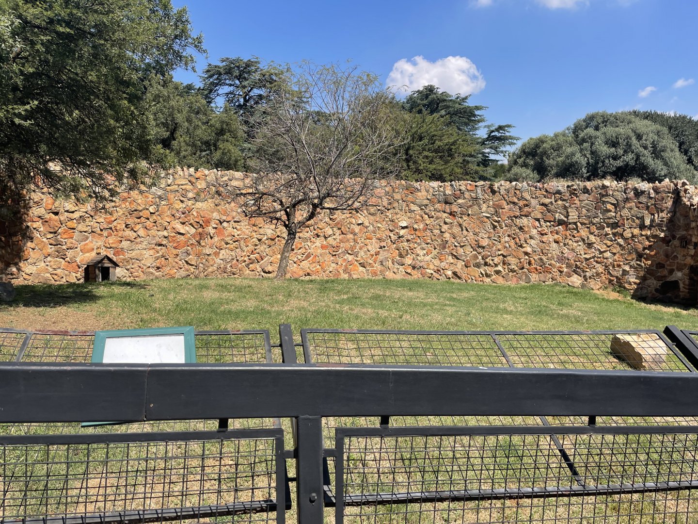 Empty Canid  Exhibit