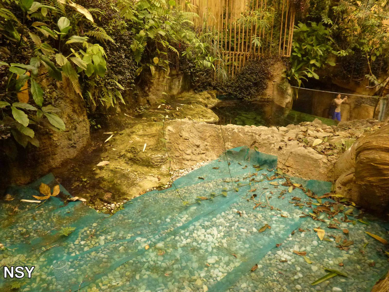 Empty capybara enclosure, June 2013.
