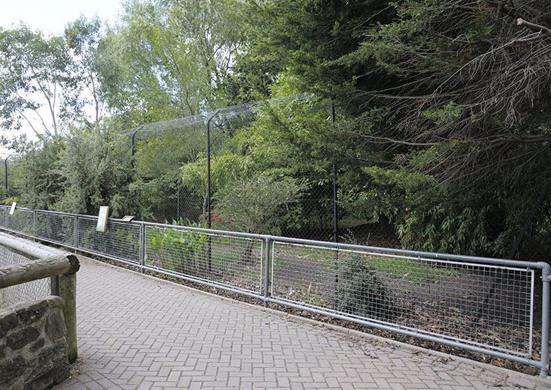 Empty cassowary enclosures