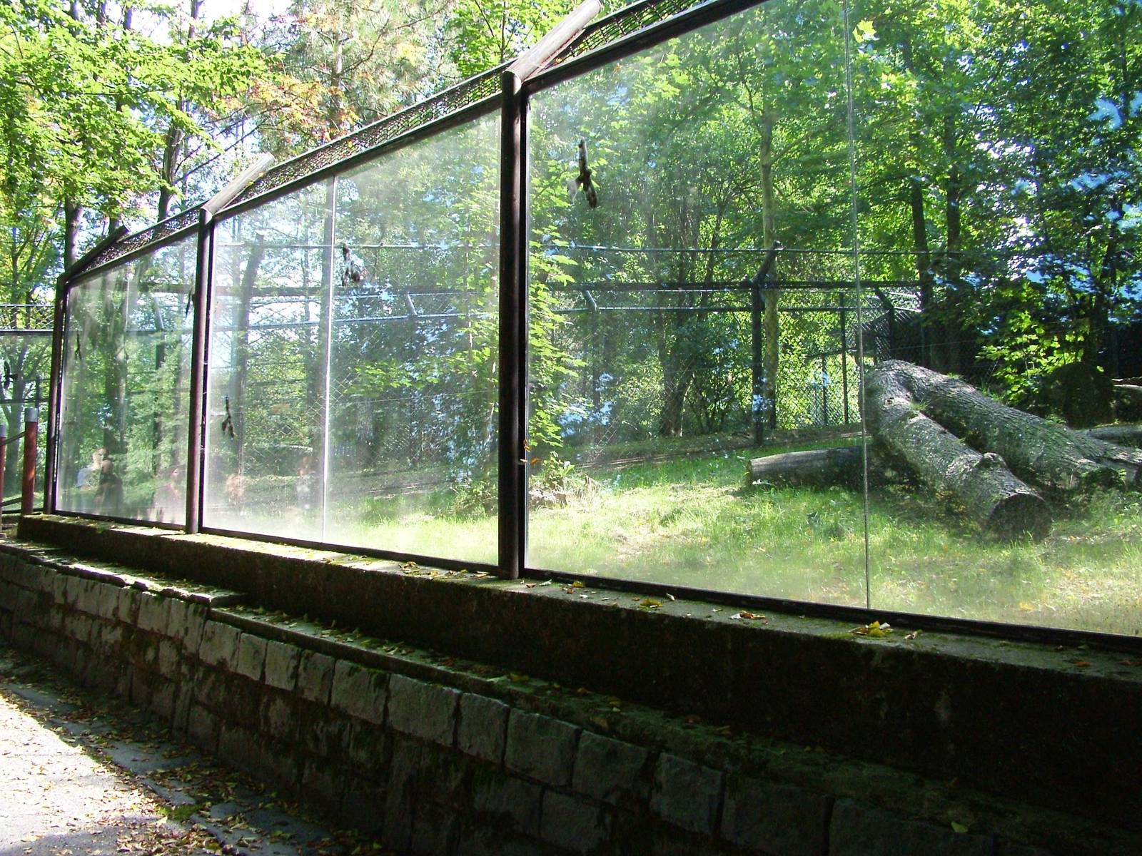 Empty Cheetah Exhibit at Liberec, 28/08/12