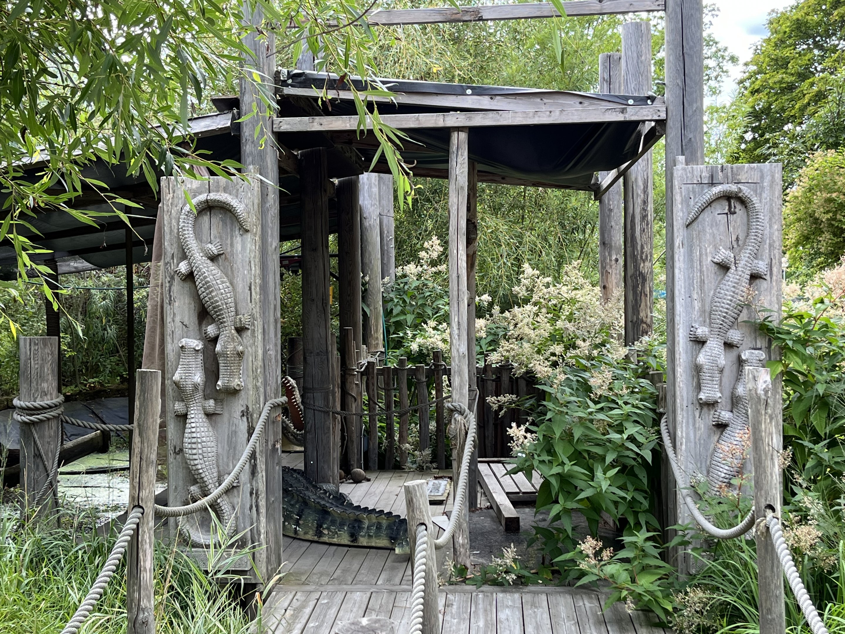 Empty Crocodilian Exhibit