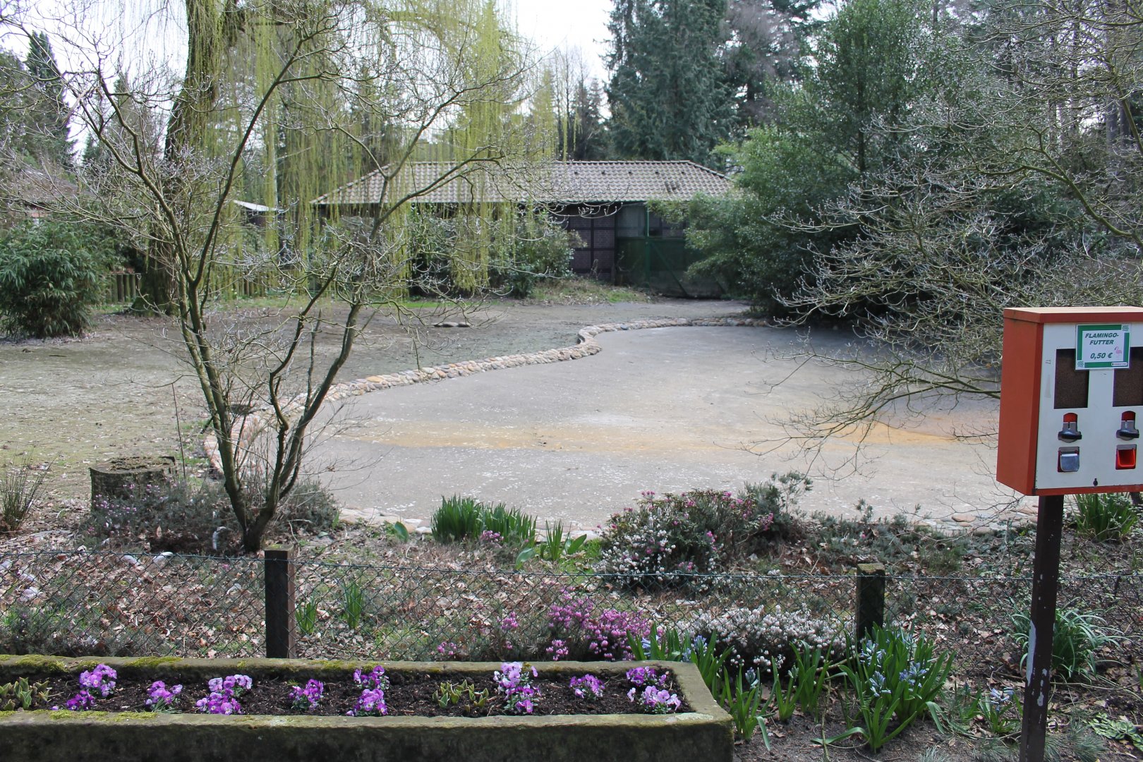 Empty enclosure for Great flamingos (24/3-19)