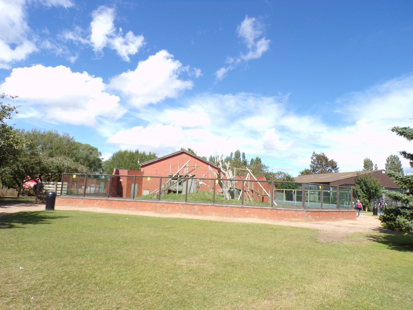 Empty enclosure (formerly holding Lope the gorilla) 7.7.24