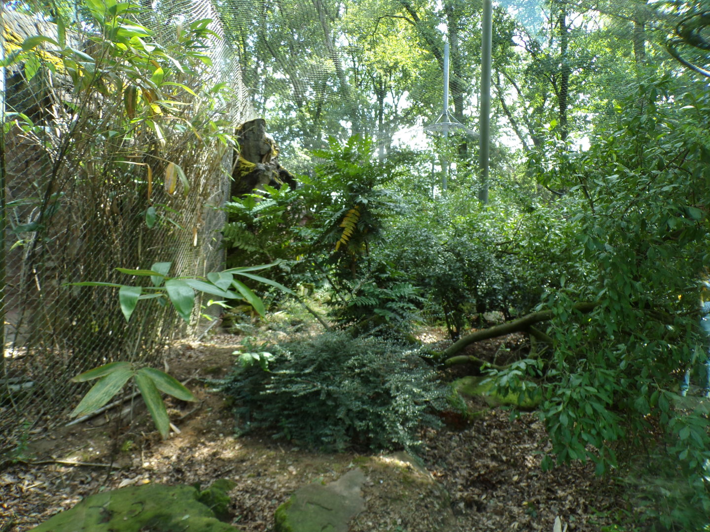 Empty enclosure (Formerly Jackal) 6.7.23