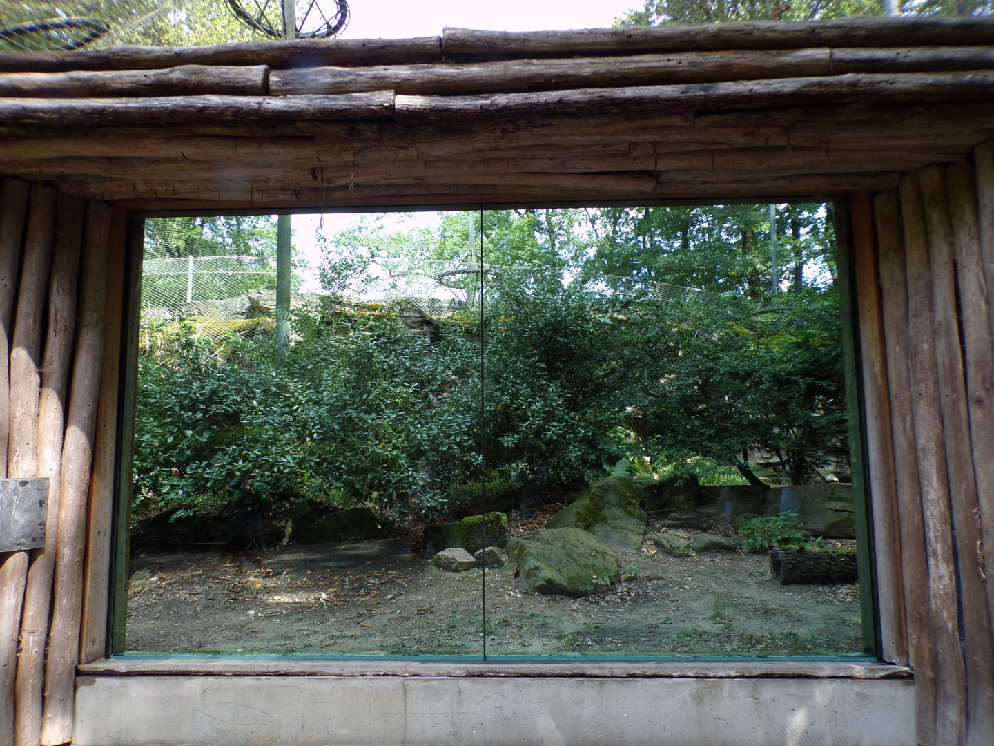 Empty enclosure (Formerly Jackal) 6.7.23