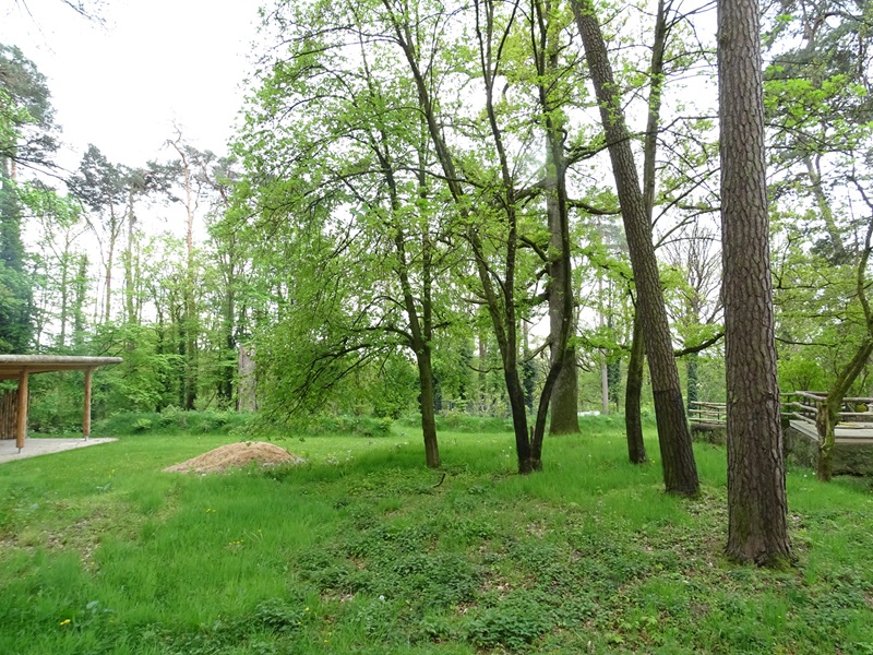 Empty enclosure (formerly wapiti)