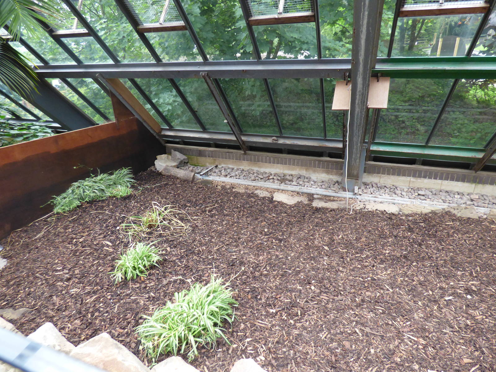 Empty Enclosure in Lorikeet Lookout