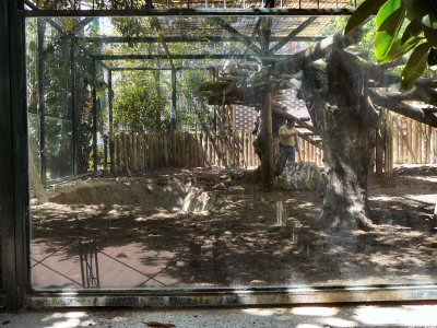 Empty enclosure next to bears