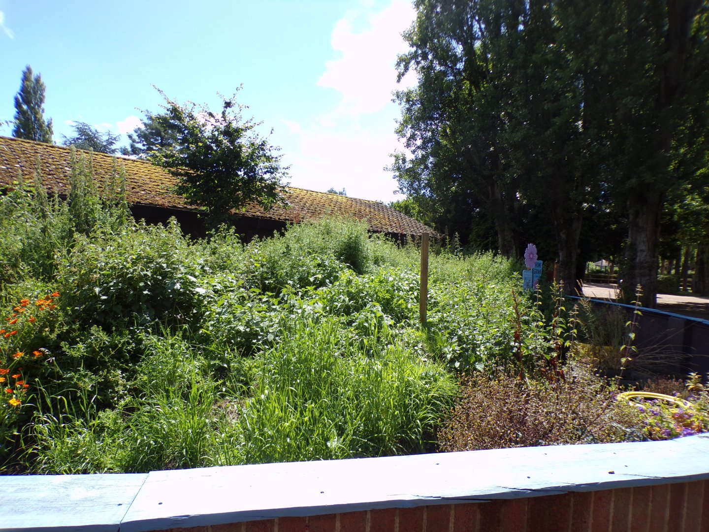 Empty enclosure (what did this hold?)  7.7.24