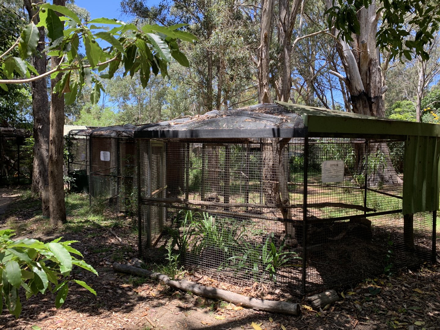 Empty Enclosures (Potoroo Palace)