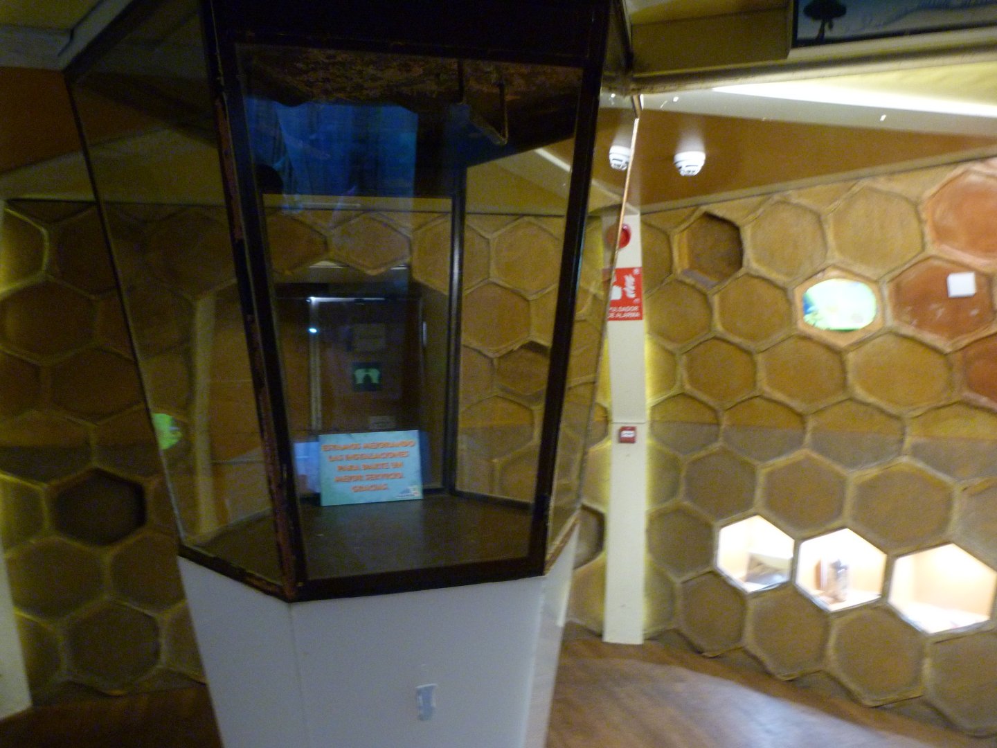 Empty European honey bee exhibit in "Jardín del Edén" -Faunia (2025)