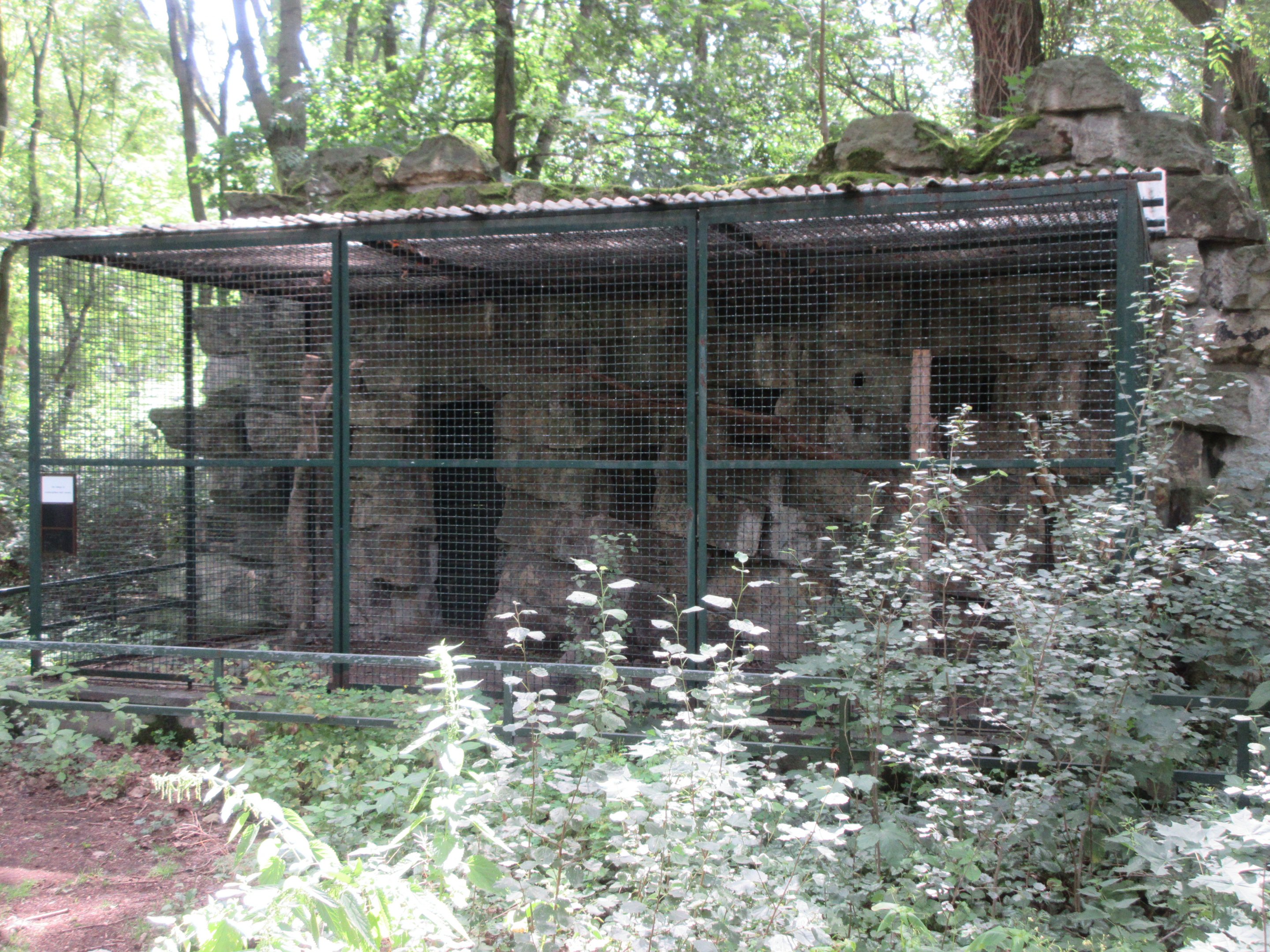 Empty Exhibit (1 of at least 6 in the zoo)