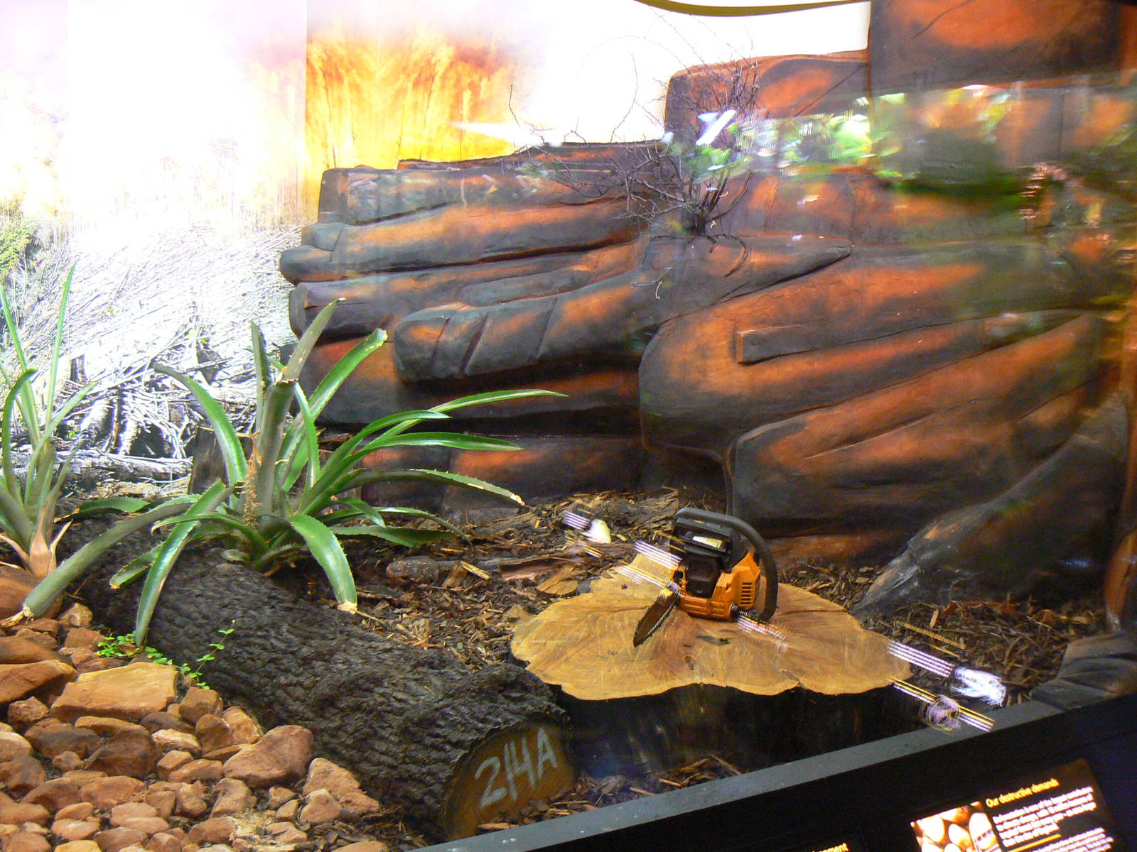 Empty Exhibit - 17 January 2016