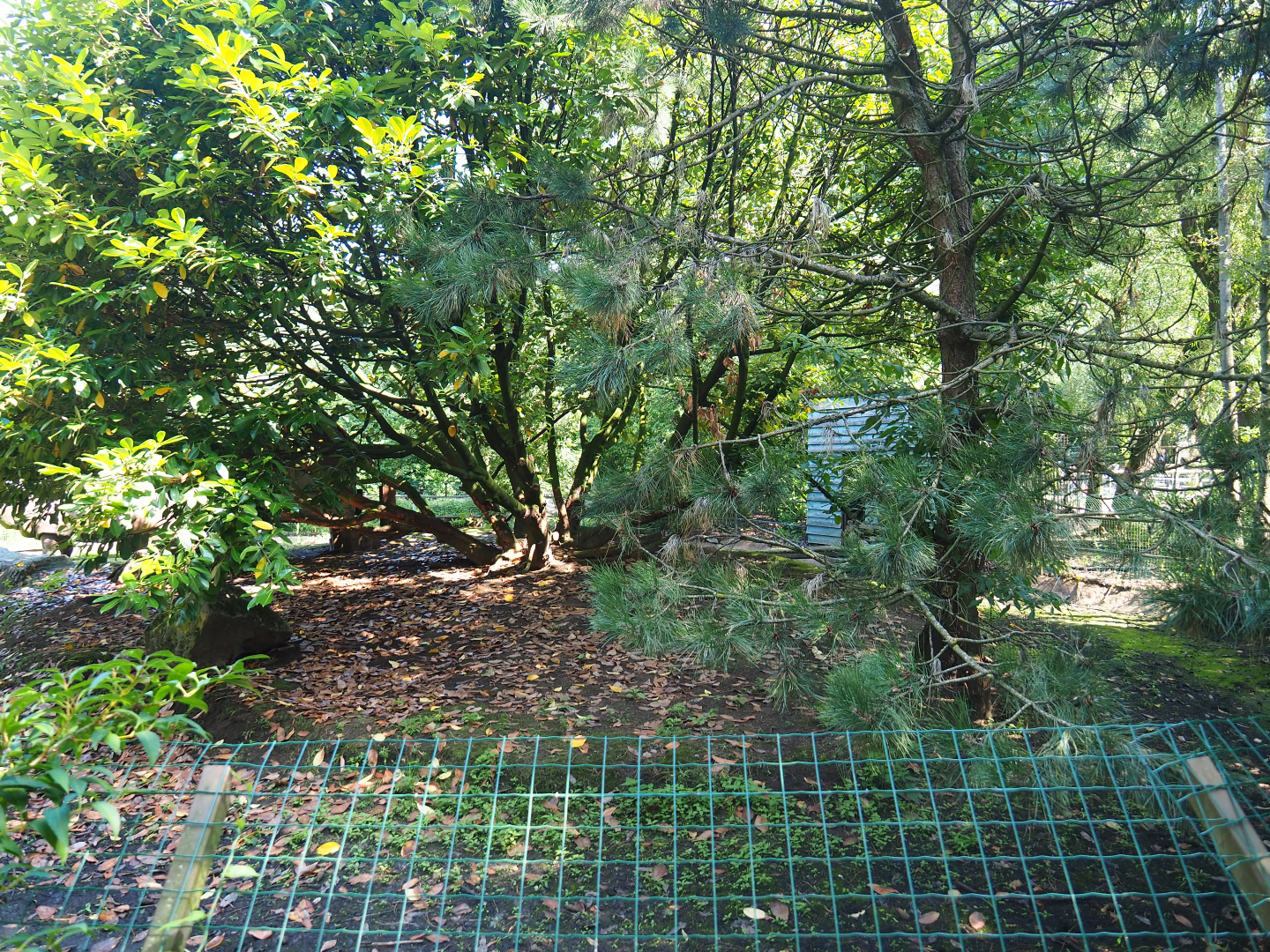 Empty exhibit, 2019-08-04