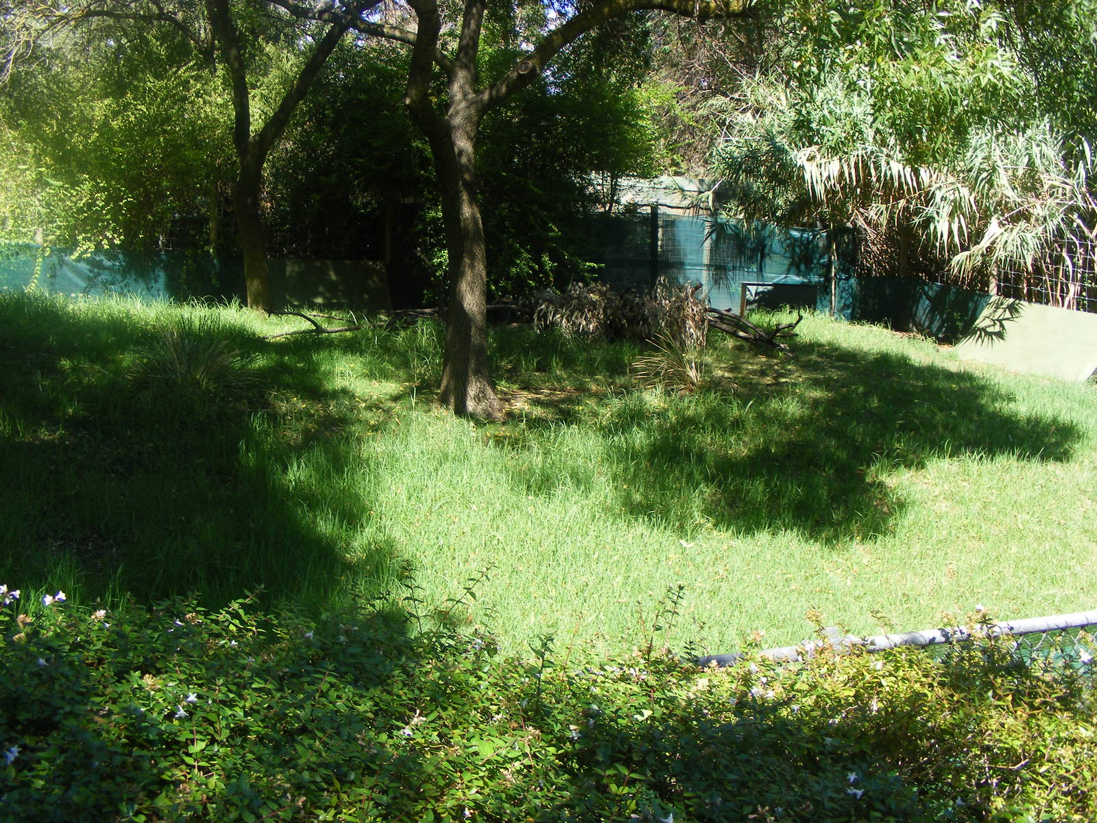 Empty Exhibit - April, 2010