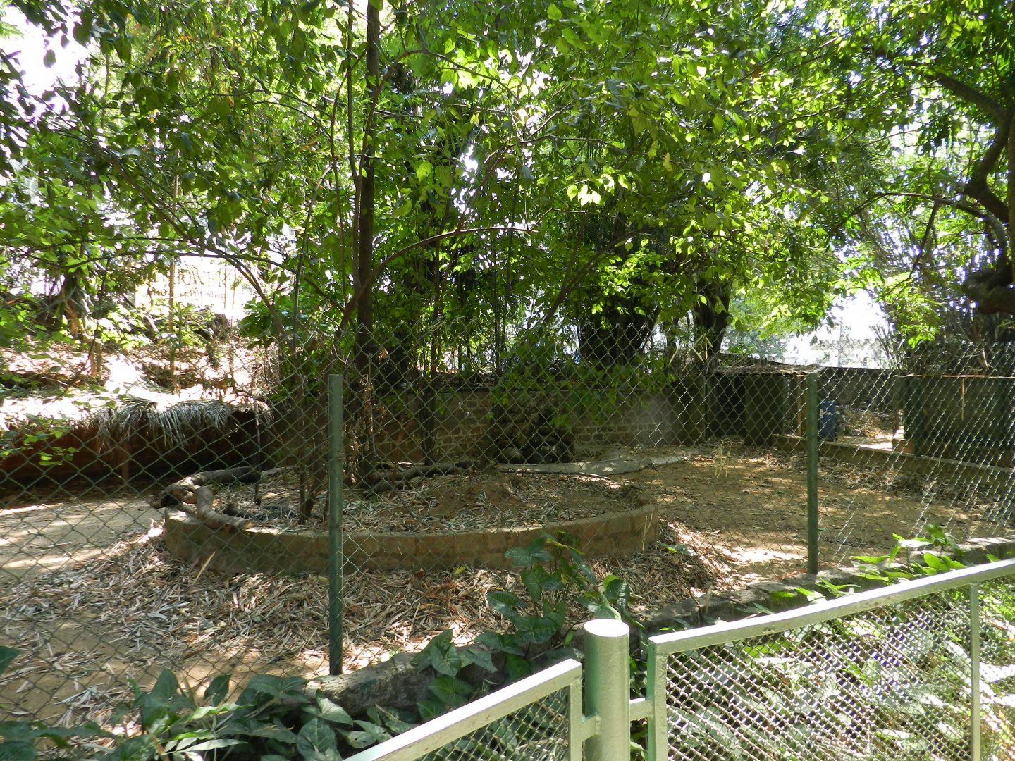 Empty exhibit - Campinas zoo (BDJ)