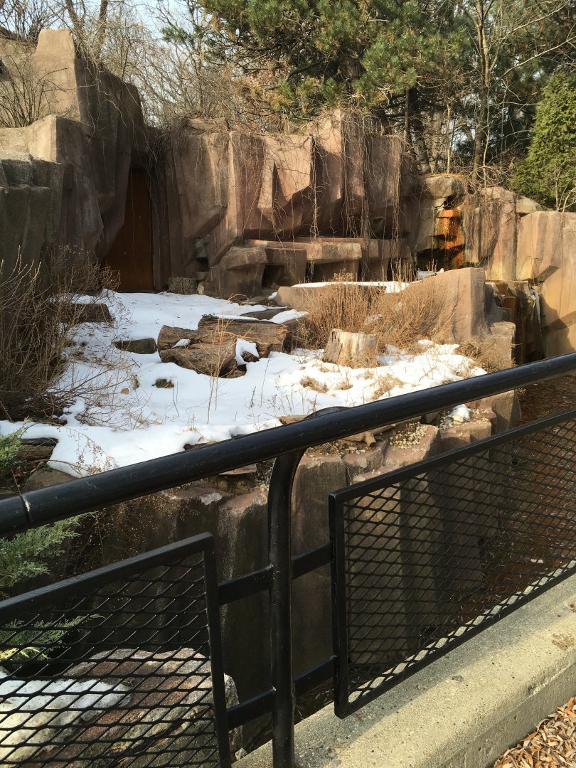 Empty exhibit (former badger)