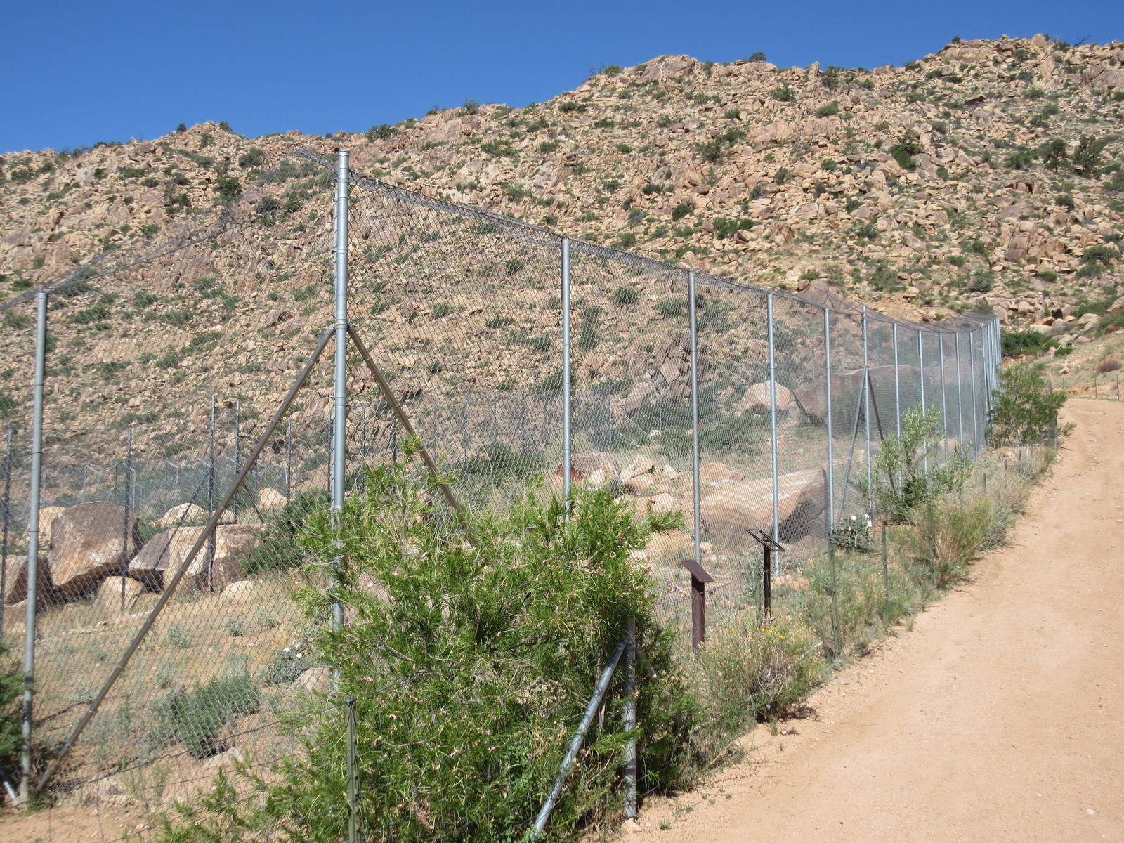 Empty Exhibit (former Cougar exhibit)