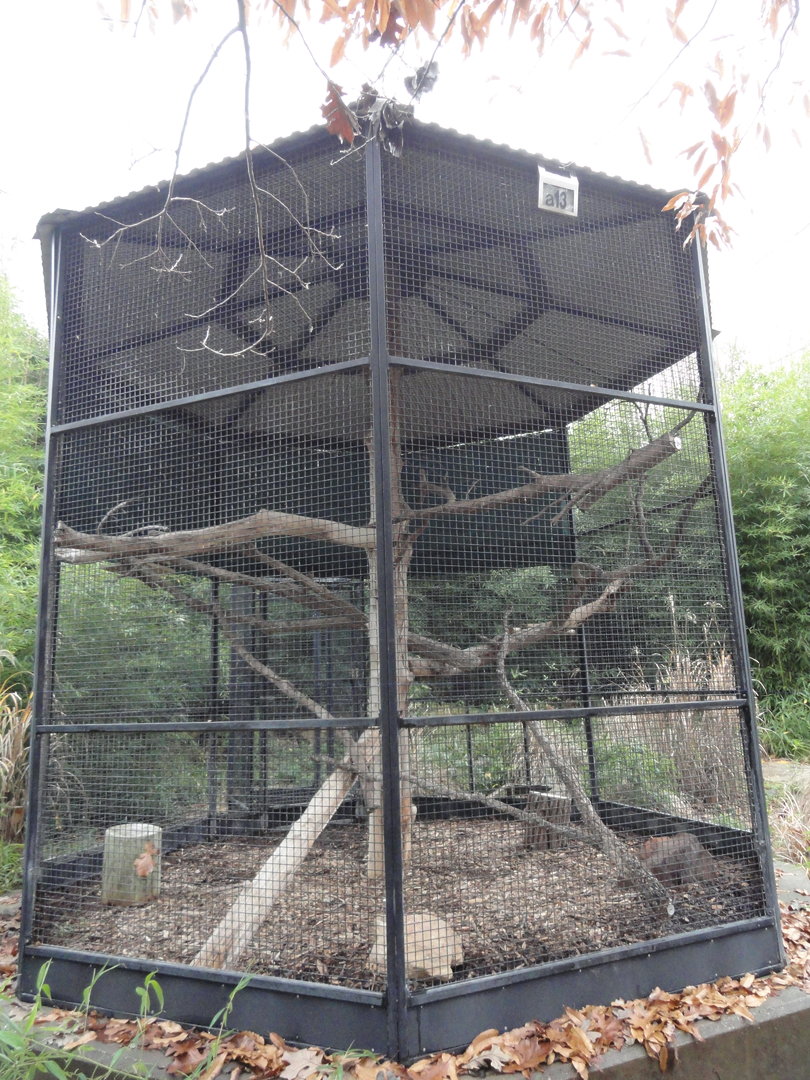 Empty Exhibit - Former Owl - Future Toucan