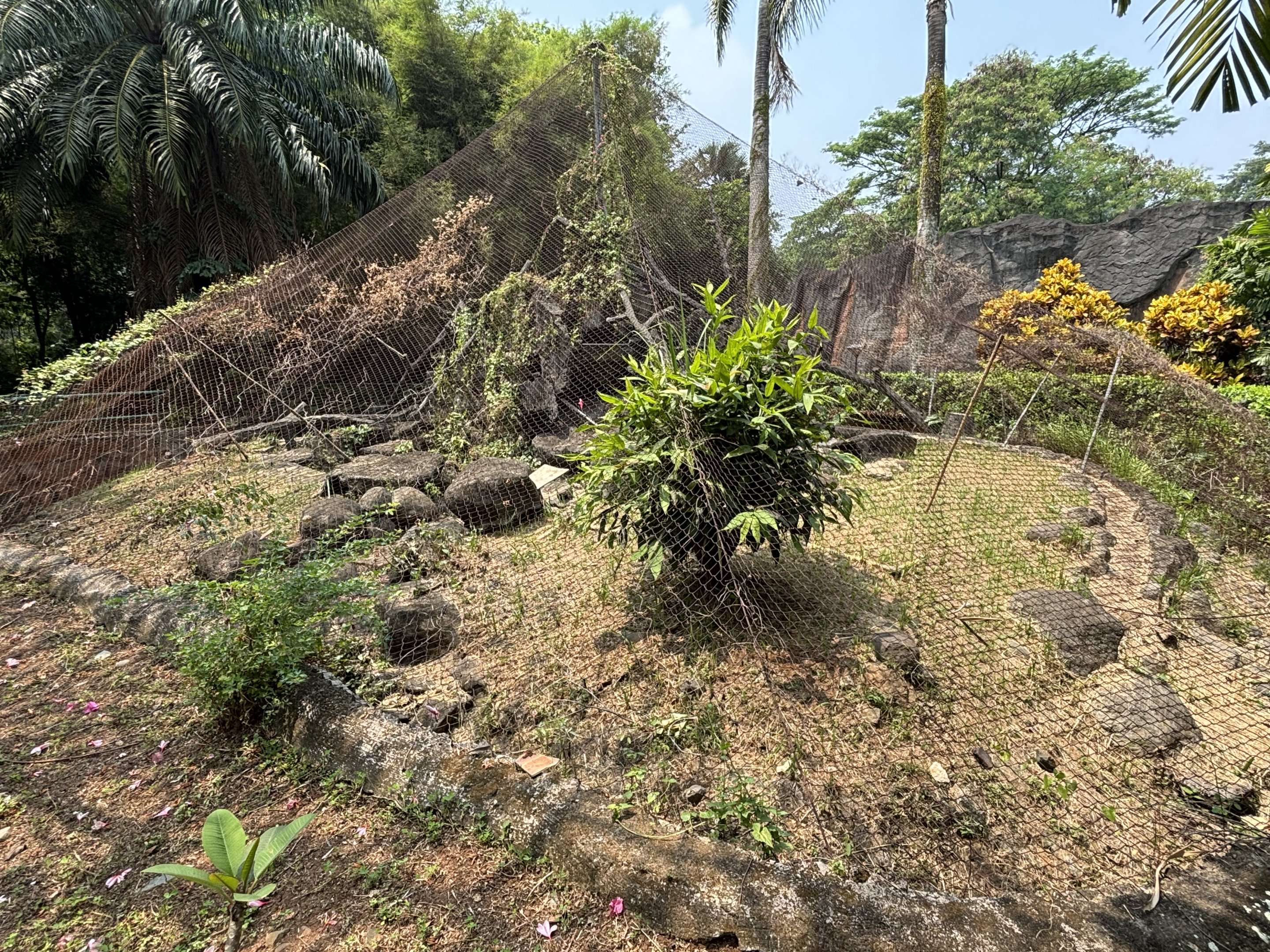 Empty Exhibit - former Slow Loris enclosure