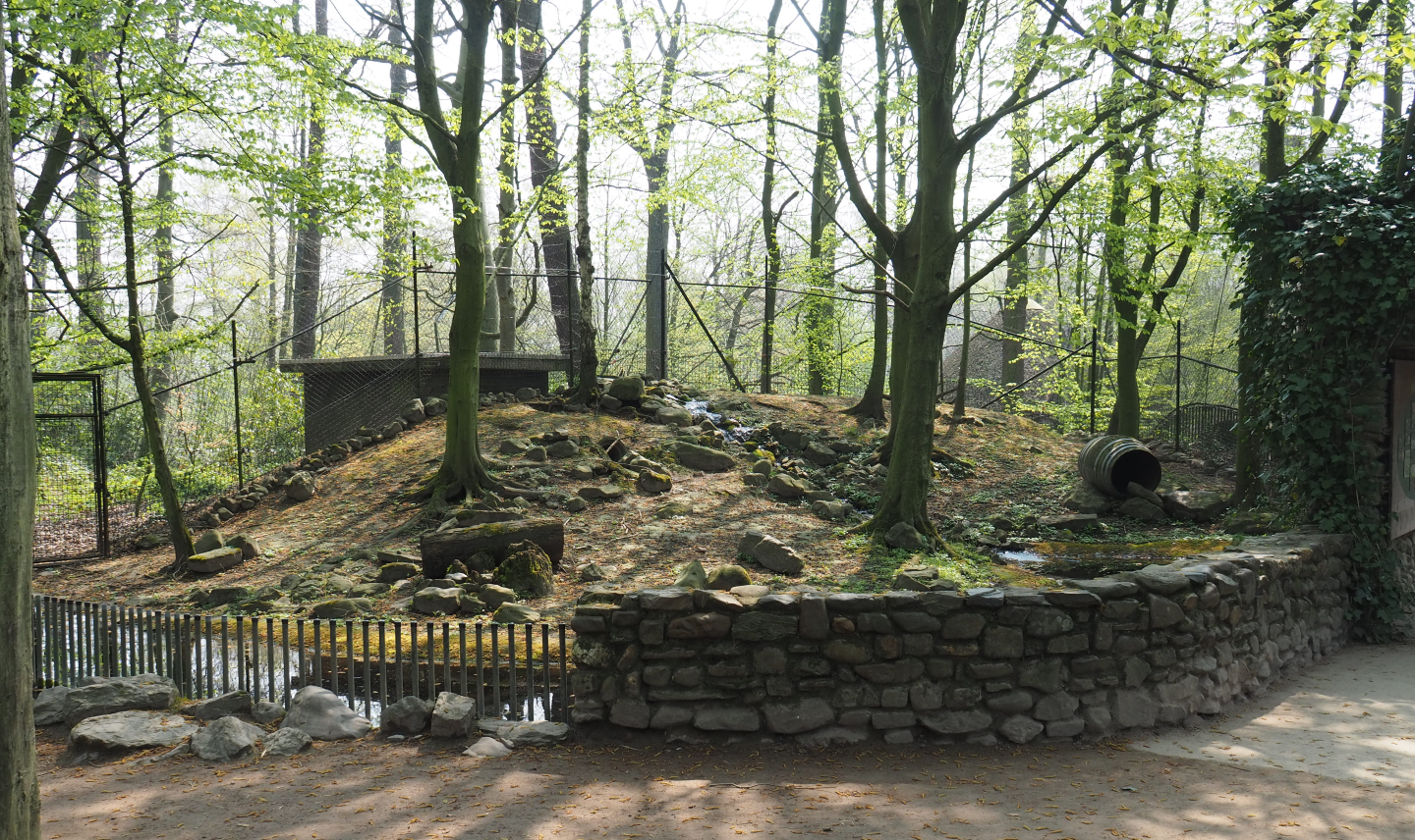 Empty exhibit, formerly home to European badgers and European red foxes, 2021-04-20