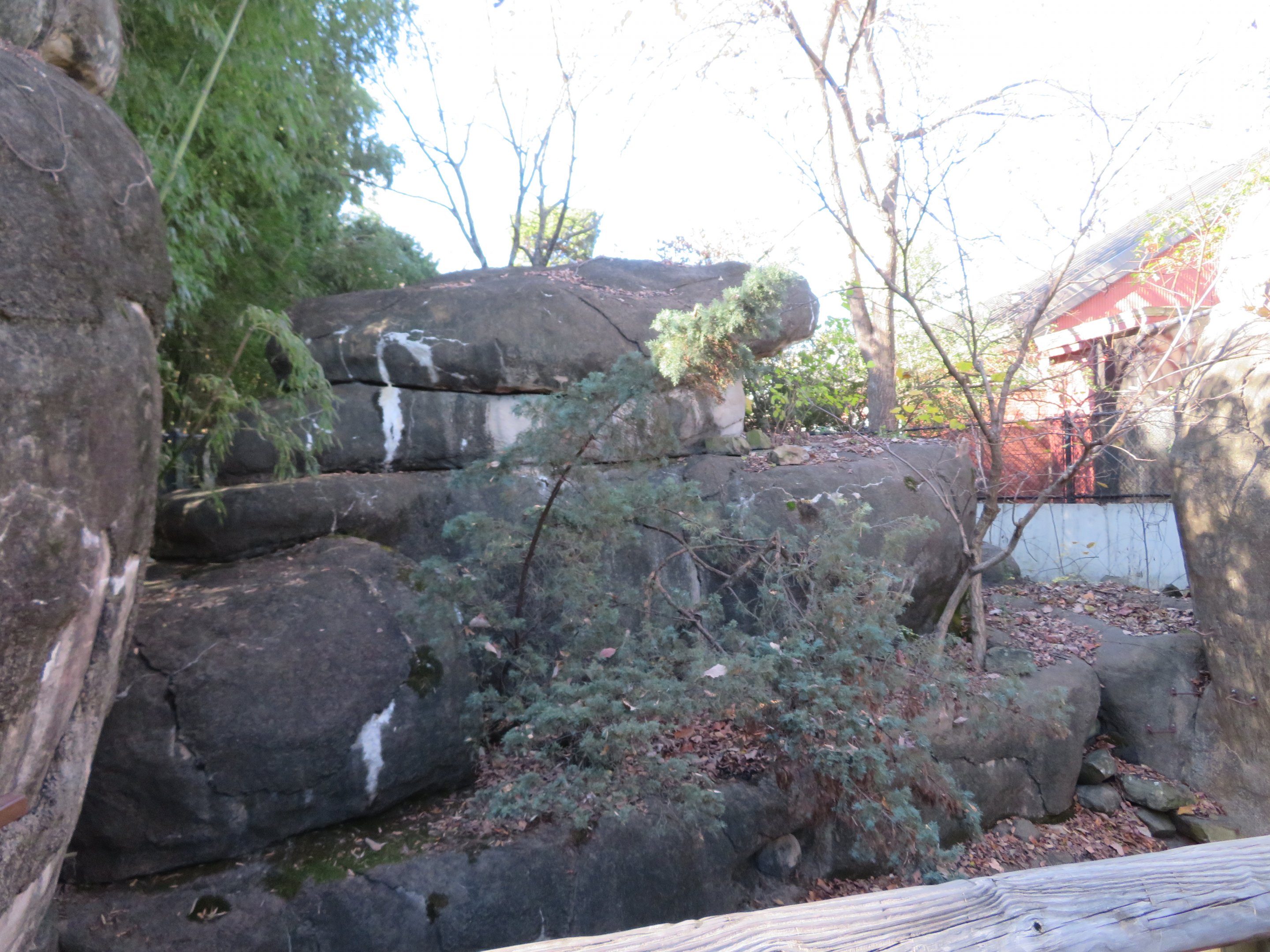 Empty Exhibit (formerly Klipspringer)