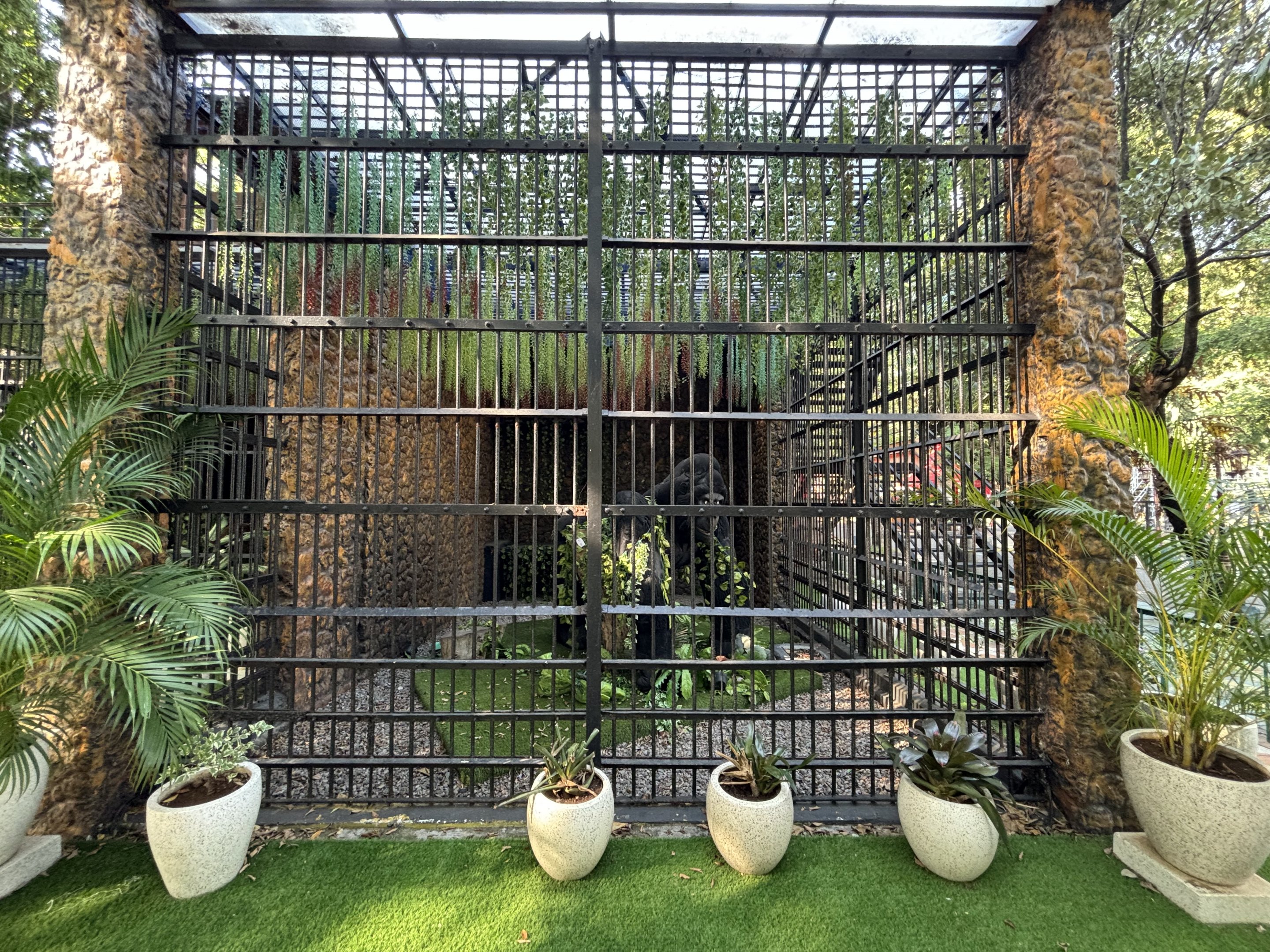 Empty Exhibit - gorilla statue