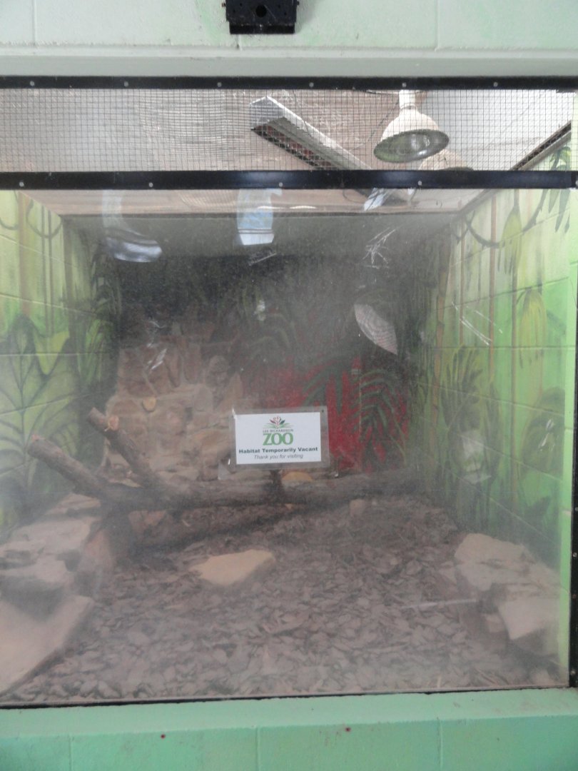 Empty Exhibit in Aviary Building