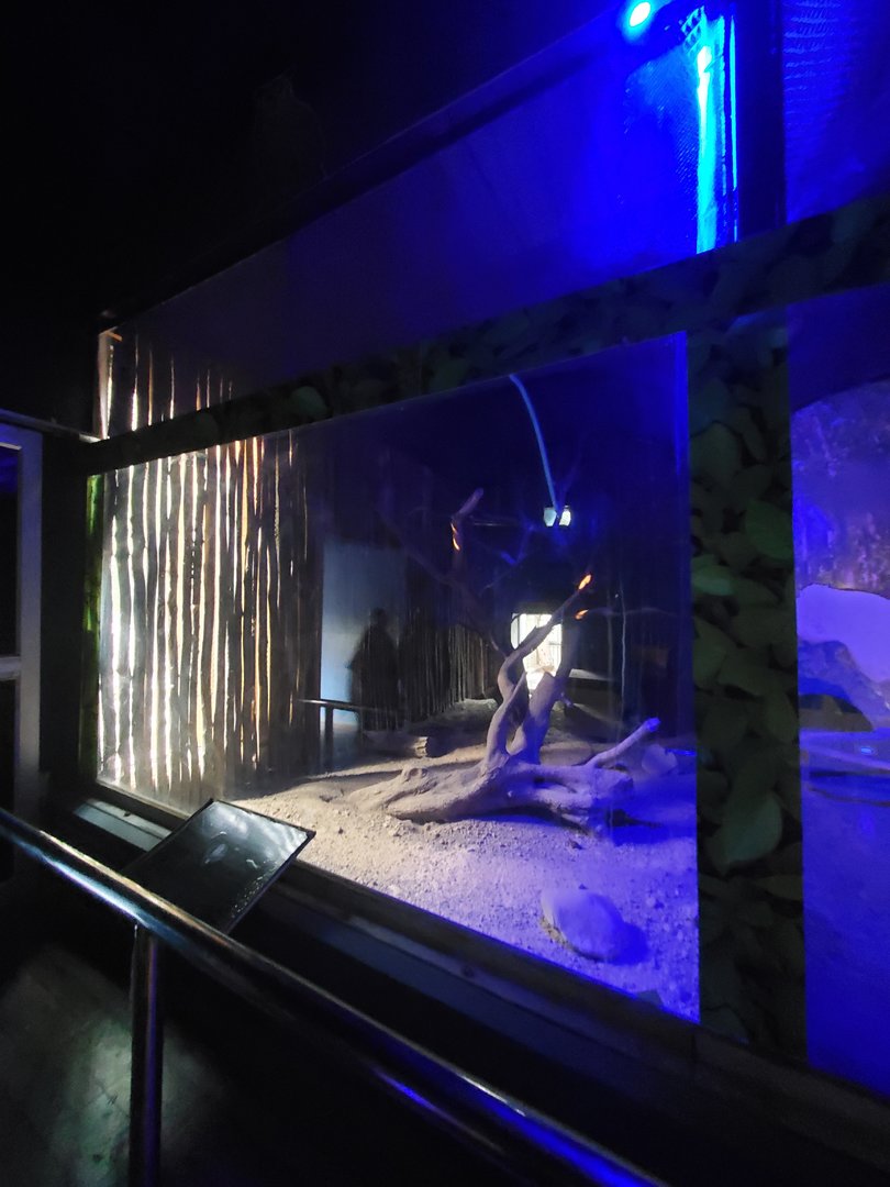 Empty Exhibit - January 2023