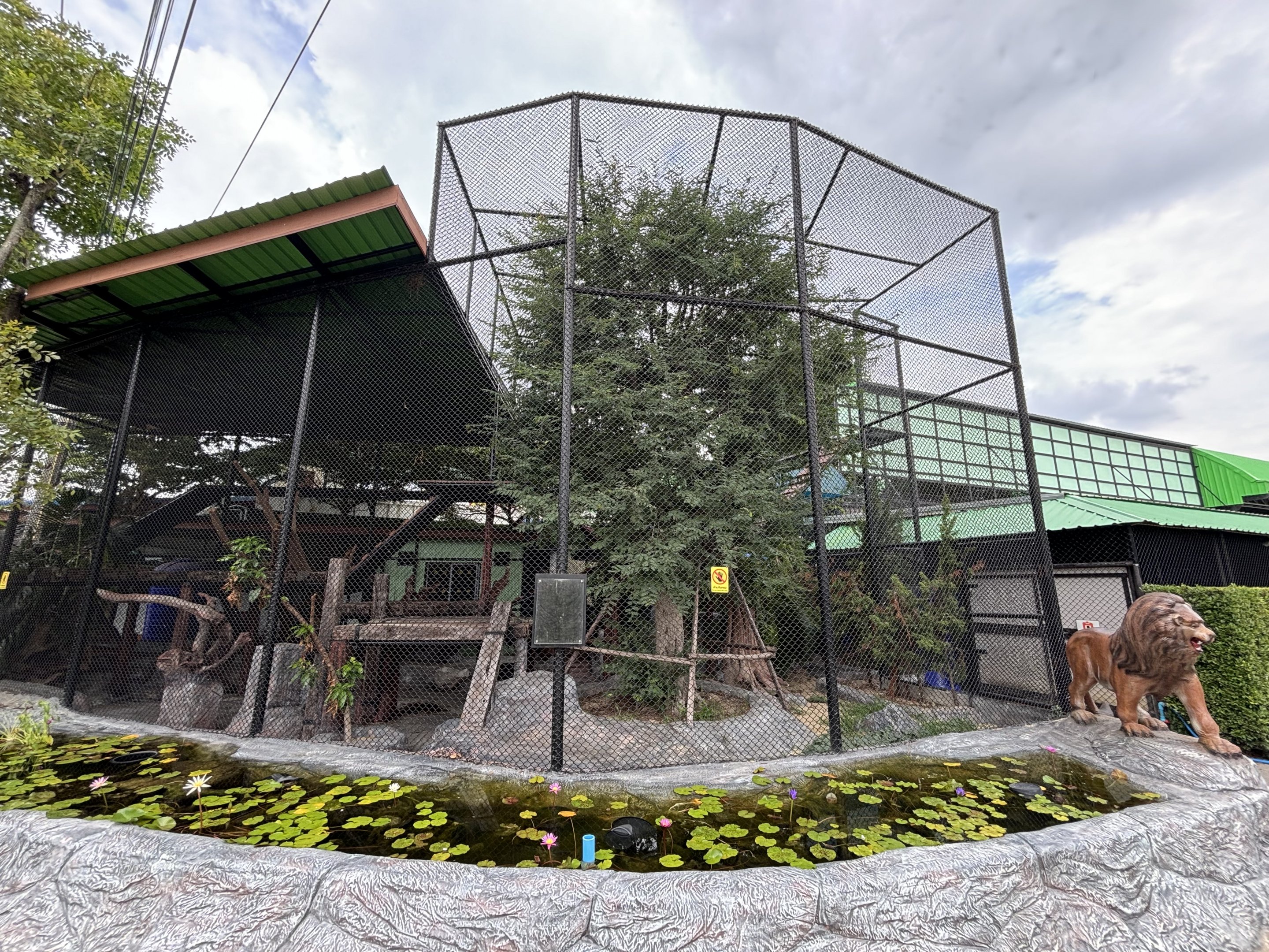 Empty Exhibit - Lion Park