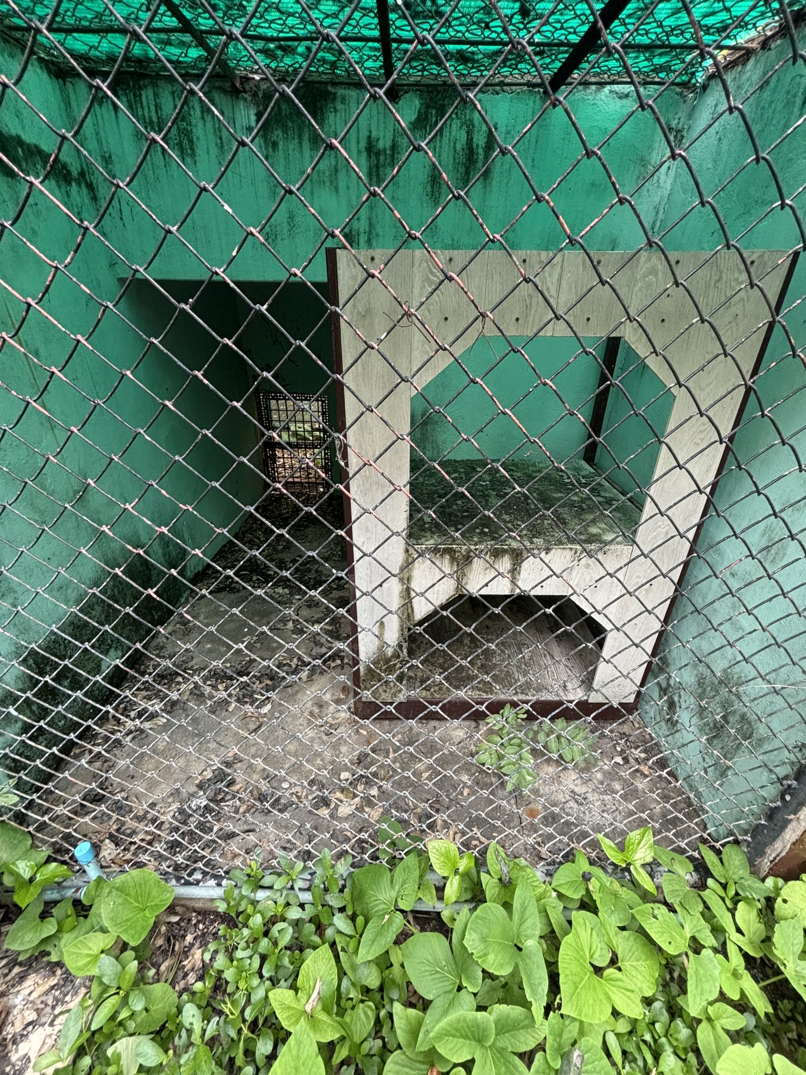 Empty Exhibit - Lopburi Zoo