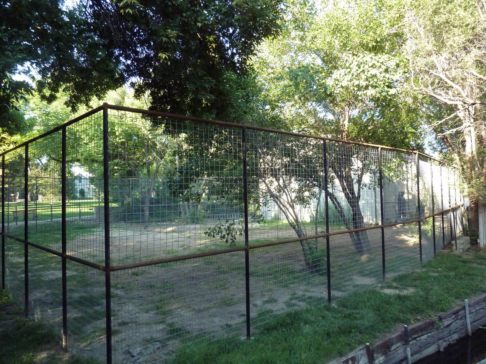 Empty Exhibit? (next to Giraffe House)