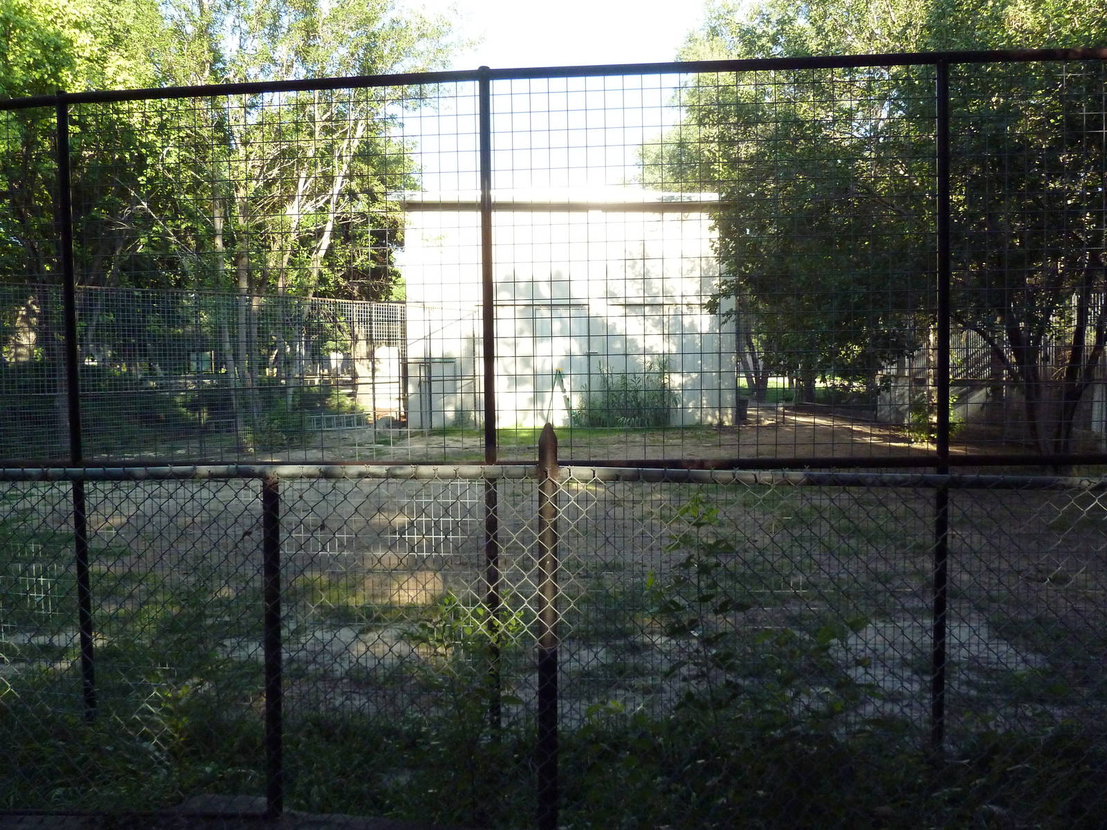 Empty Exhibit? (next to Giraffe House)