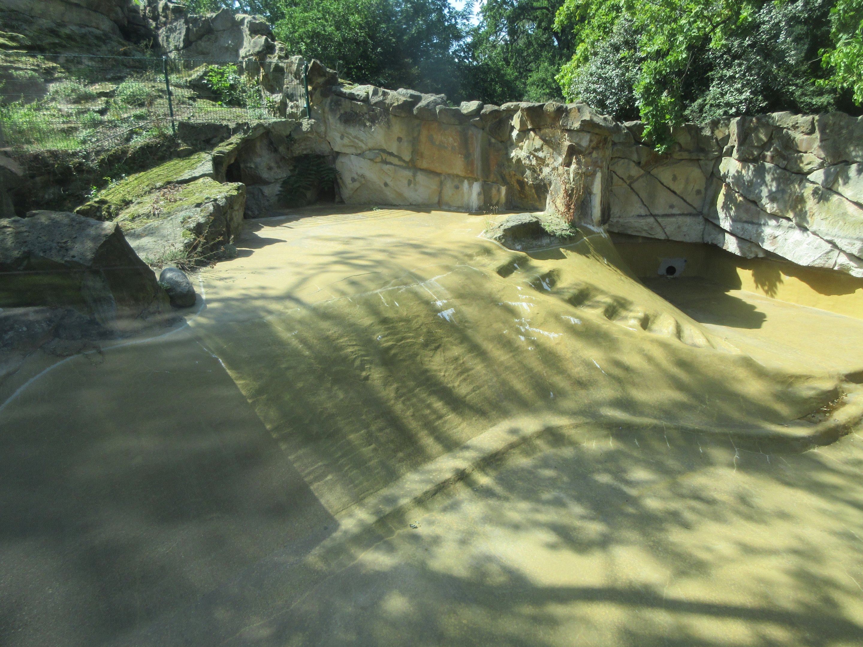 Empty Exhibit? (next to South African Fur Seals)
