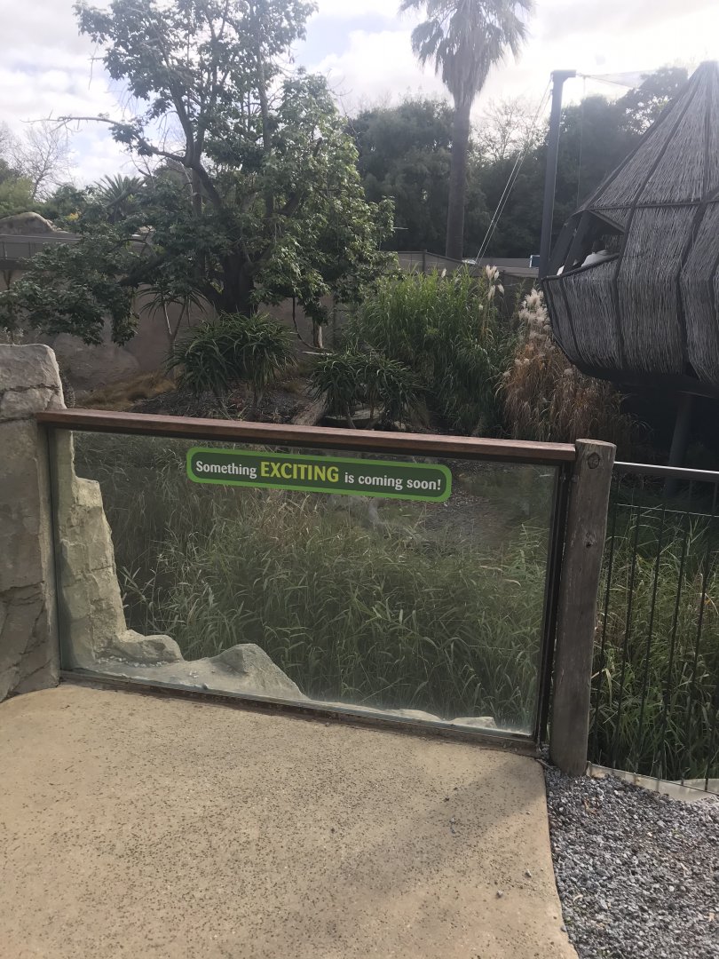 Empty exhibit next to the Ring Tailed Lemurs