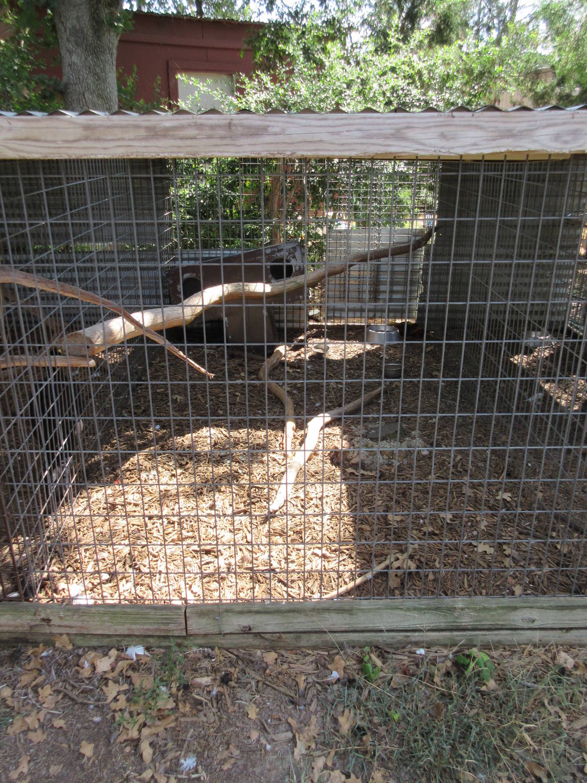 Empty Exhibit?  - no sign