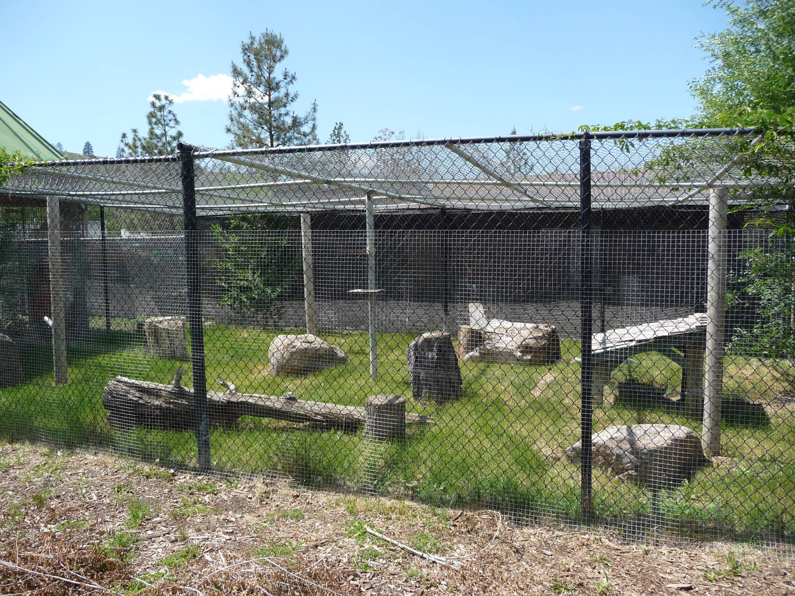 Empty Exhibit -Nursery Area