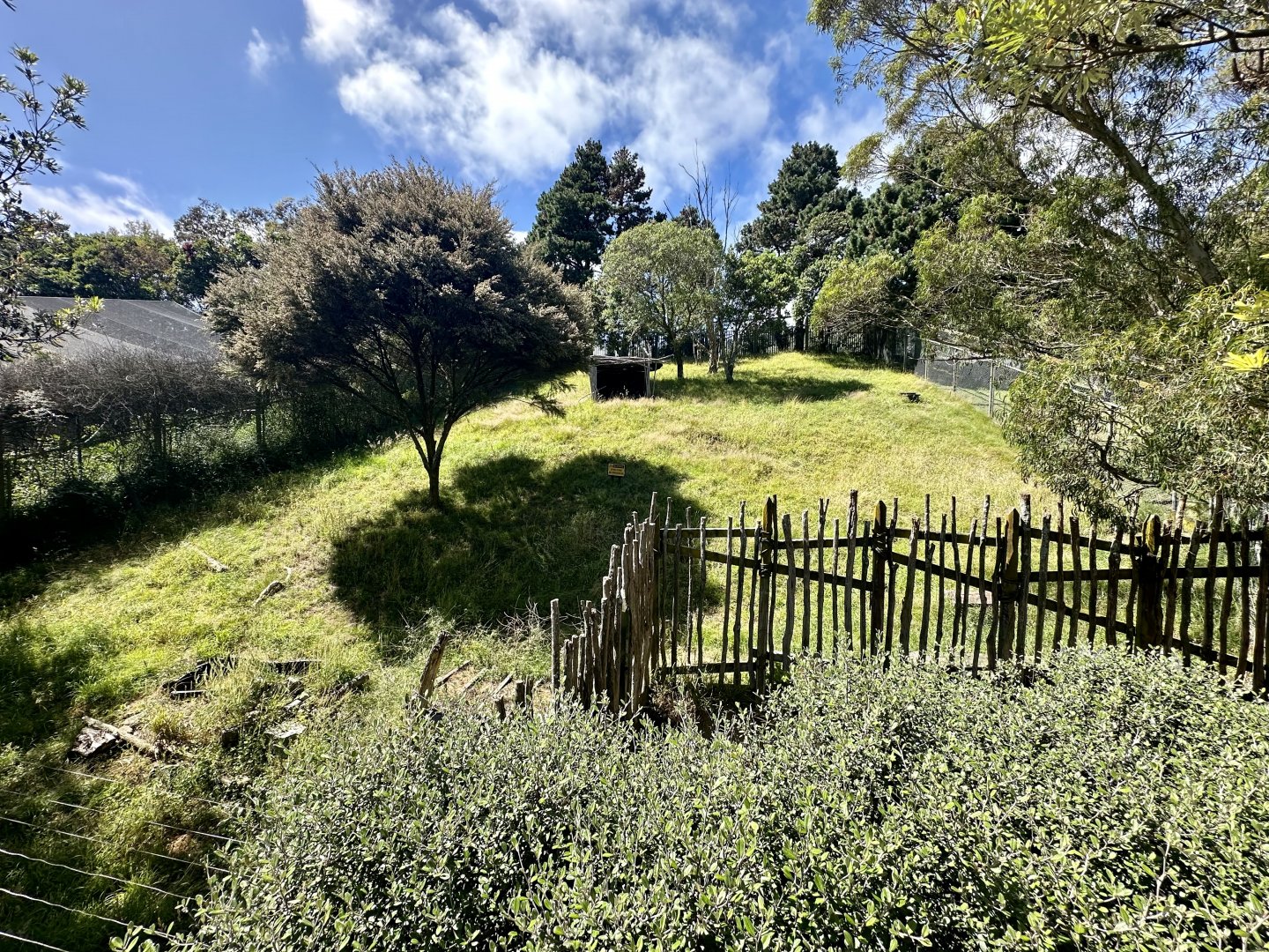 Empty Exhibit (Old African Wild Dog Exhibit)