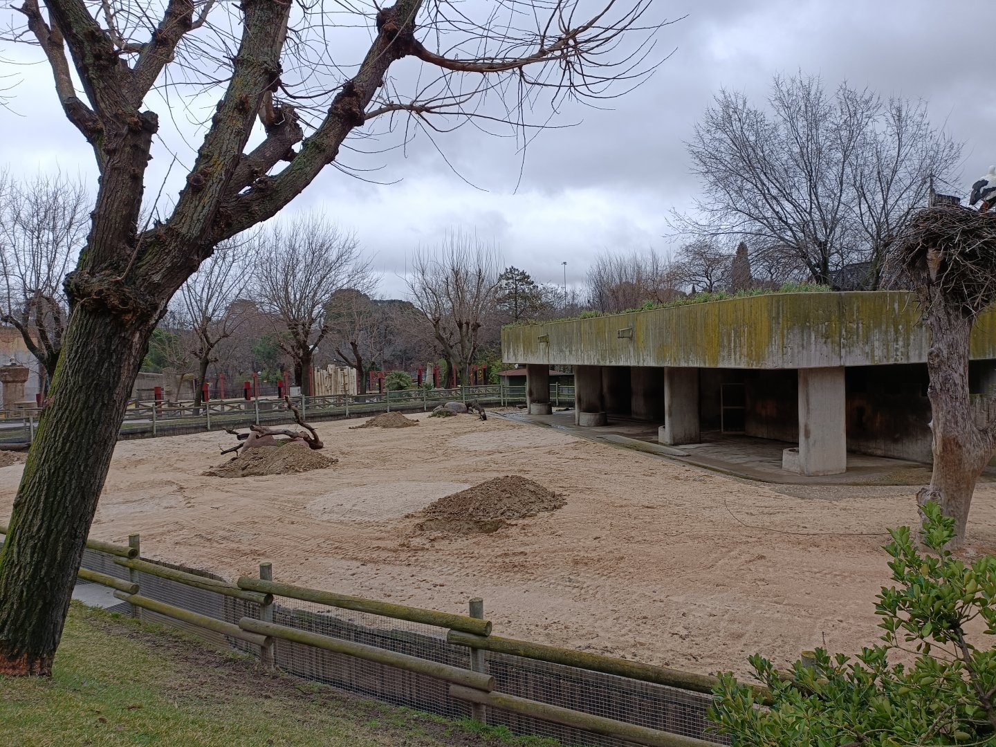 Empty exhibit. Old american bison exhibit