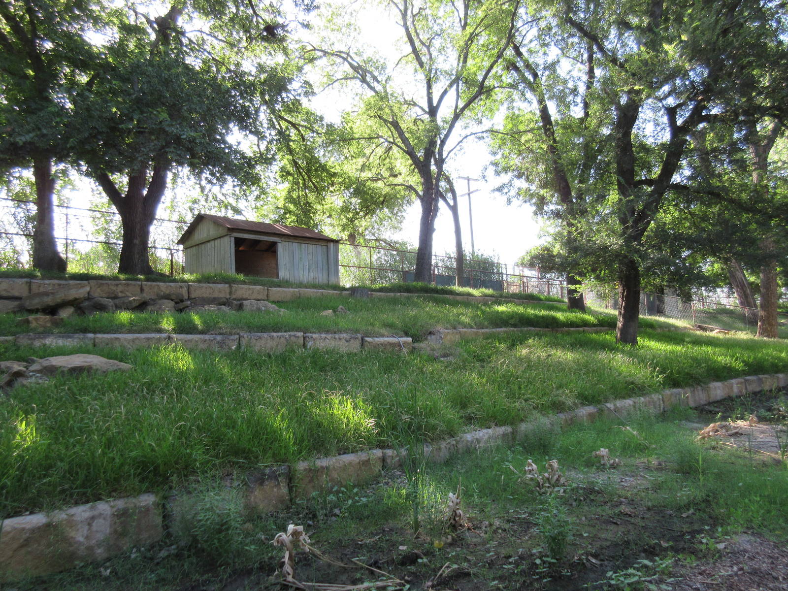 Empty Exhibit (old Axis Deer exhibit)