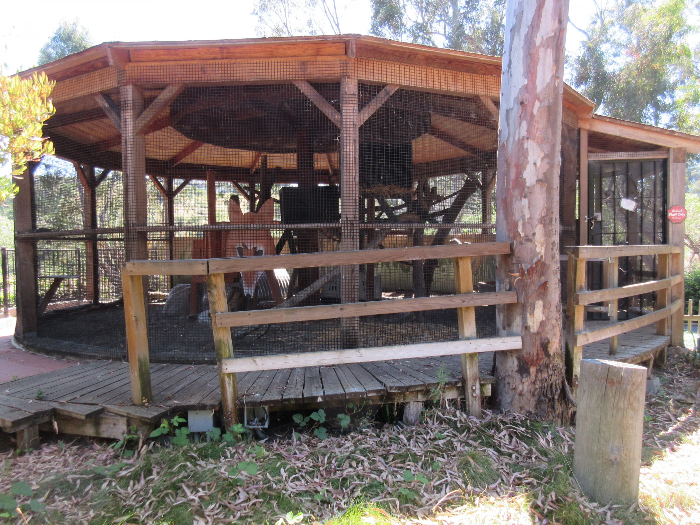 Empty Exhibit (old Bald Eagle aviary)