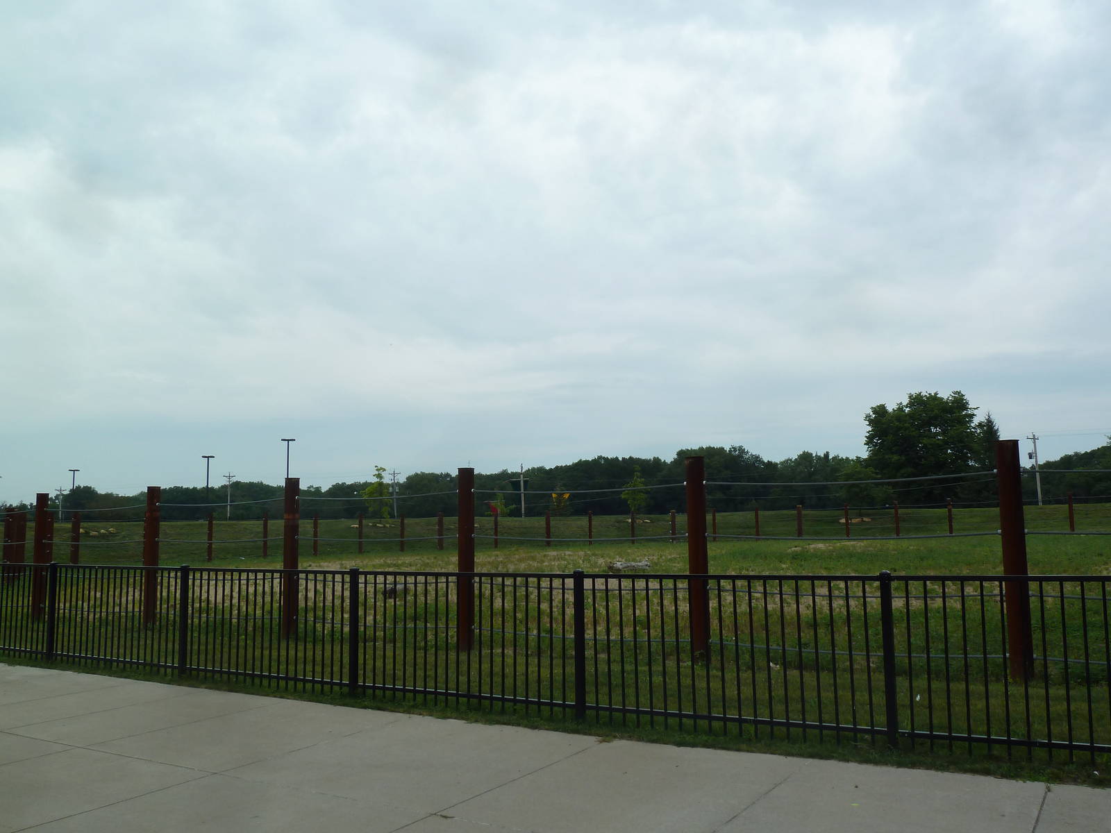 Empty Exhibit (old elephant yard)