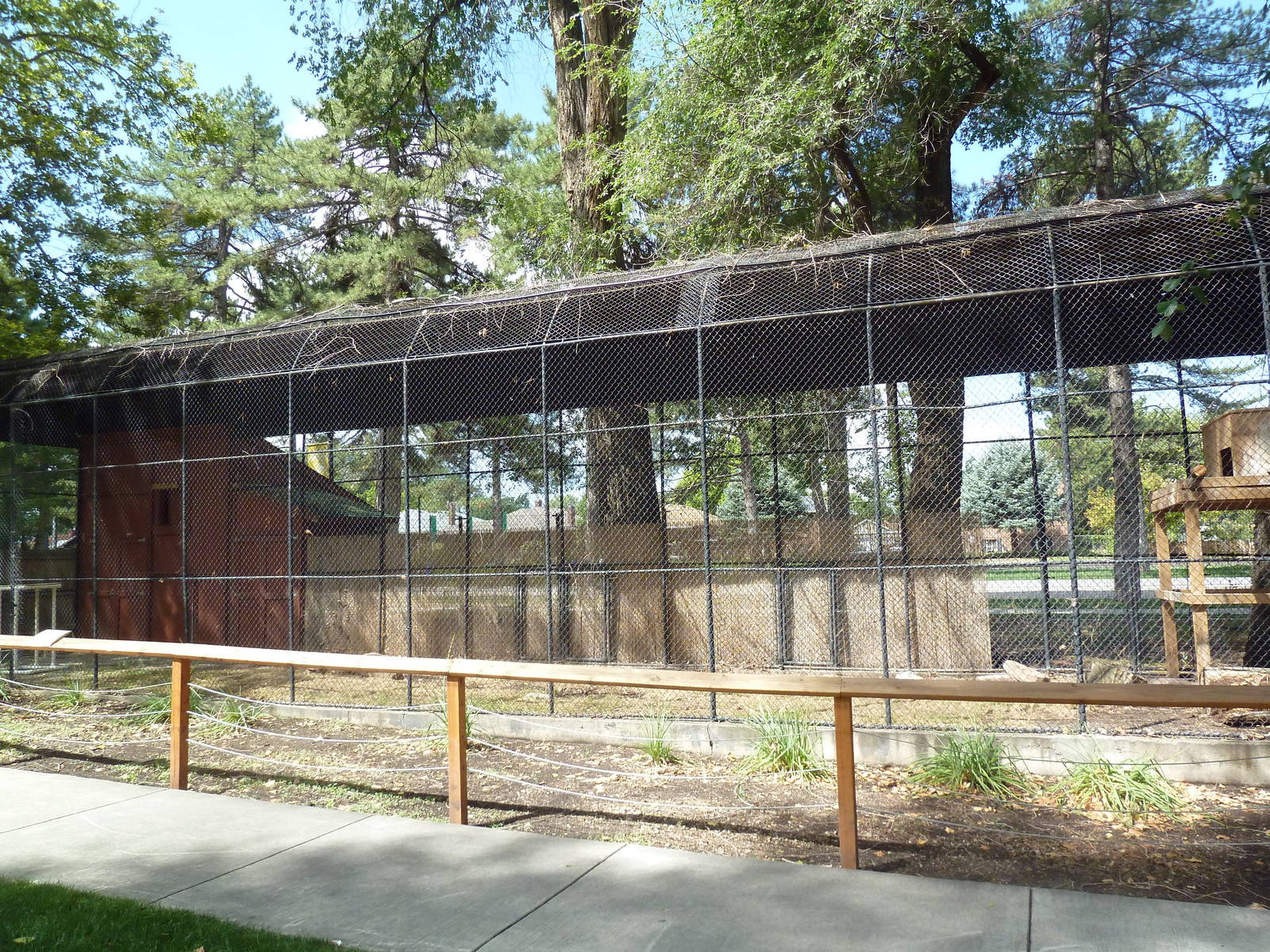 Empty Exhibit (old King Vulture Aviary)