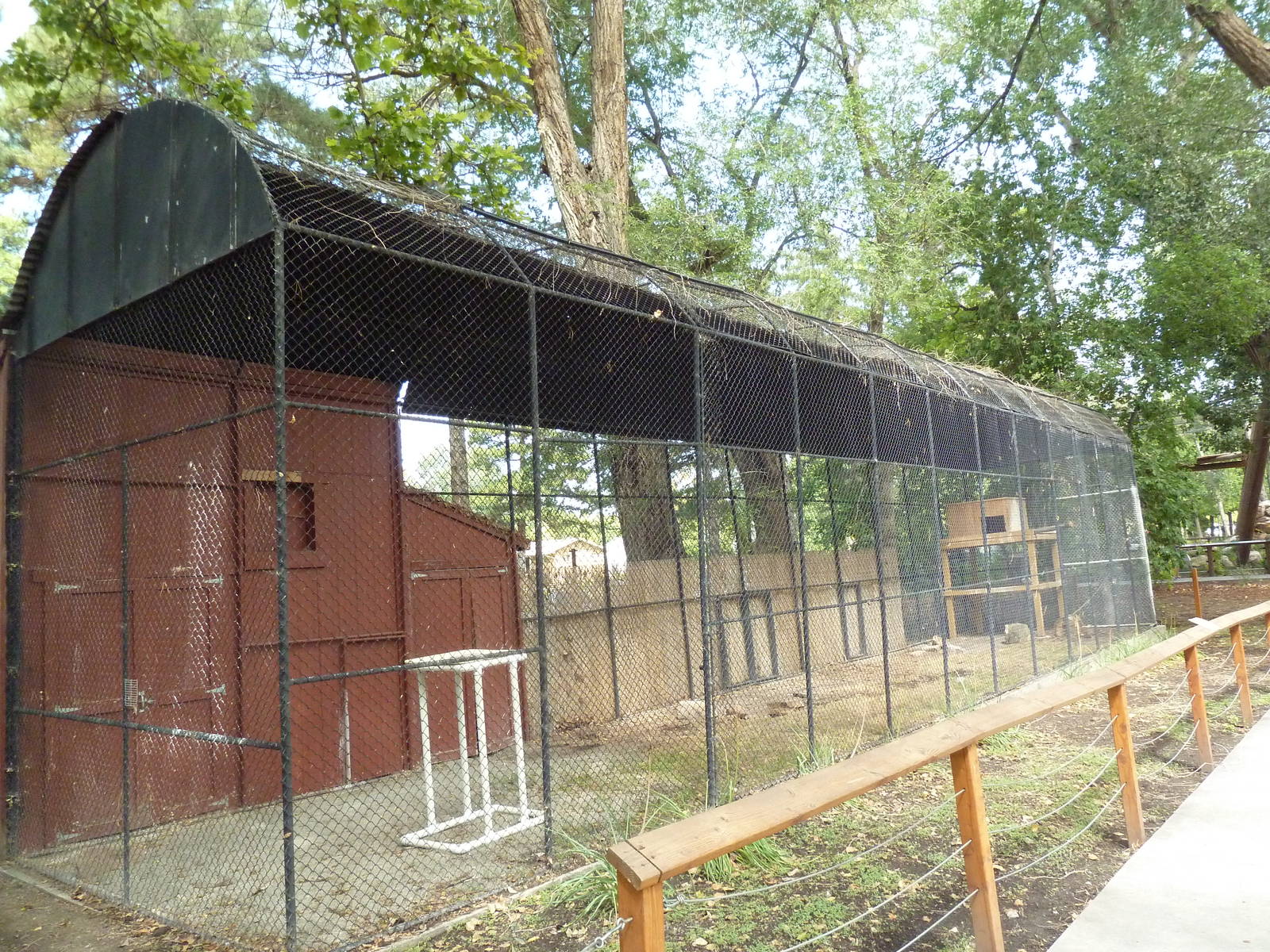 Empty Exhibit (old King Vulture Aviary)