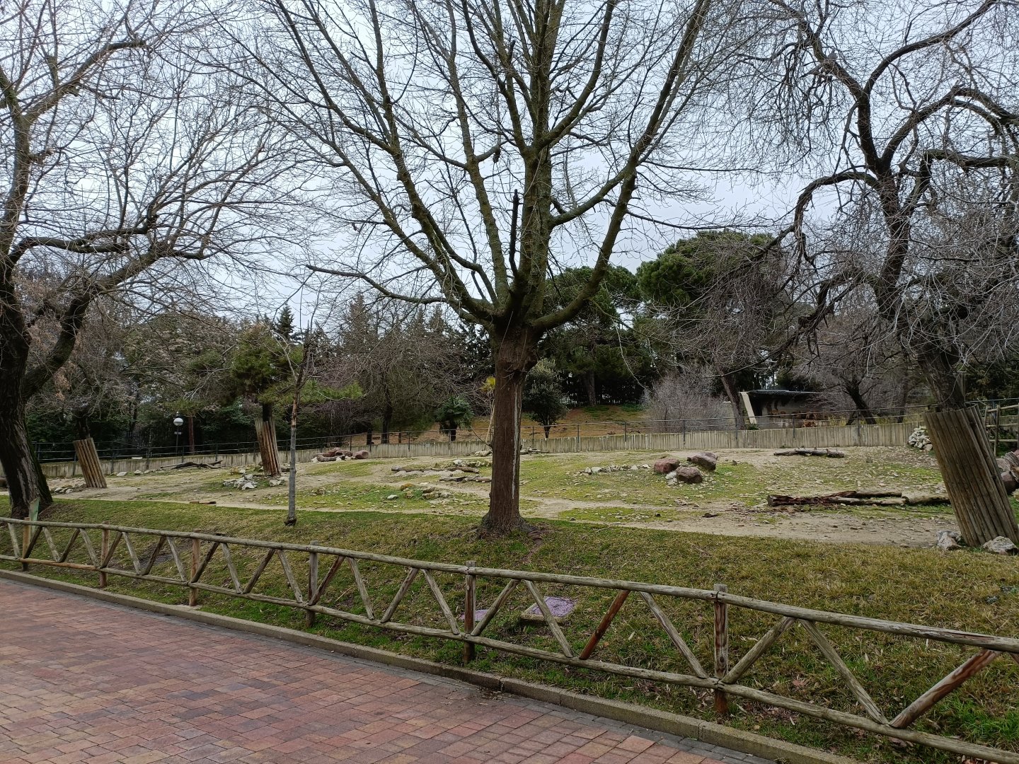 Empty exhibit- Old yak exhibit