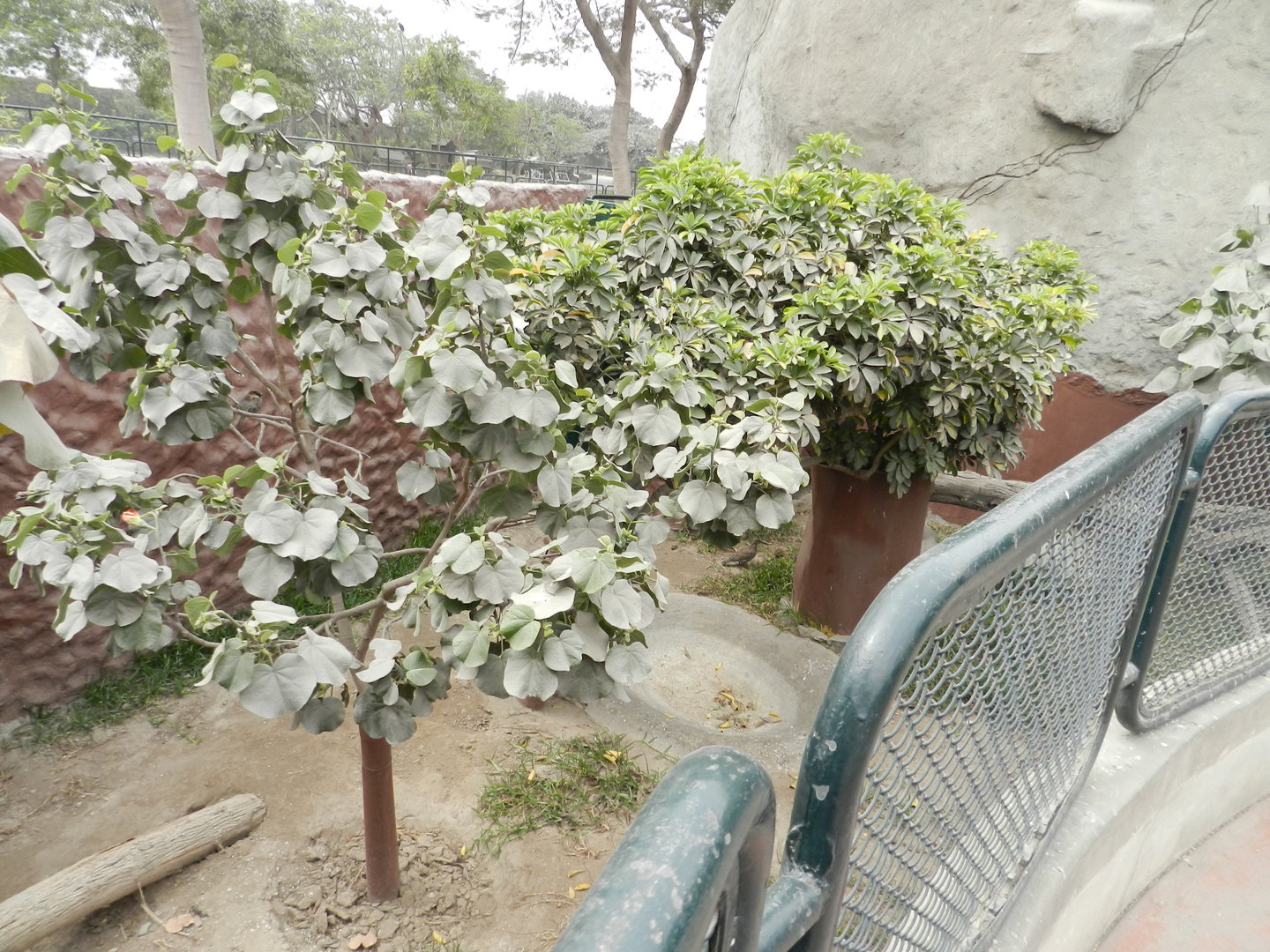 Empty exhibit - Parque Zoológico Huachipa