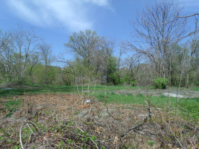 Empty Exhibit (Part 2)