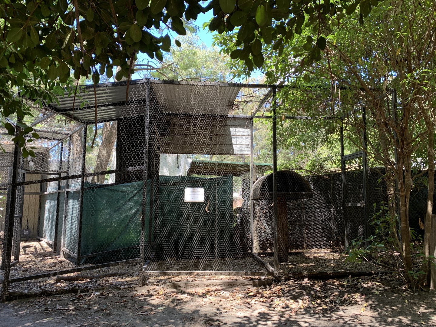 Empty Exhibit (Potoroo Palace)