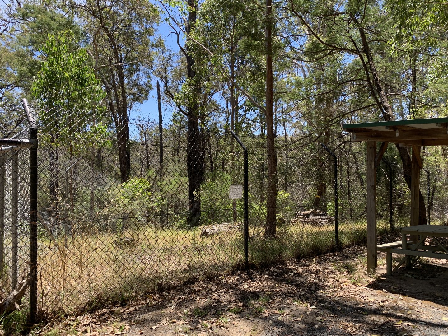 Empty Exhibit (Potoroo Palace)